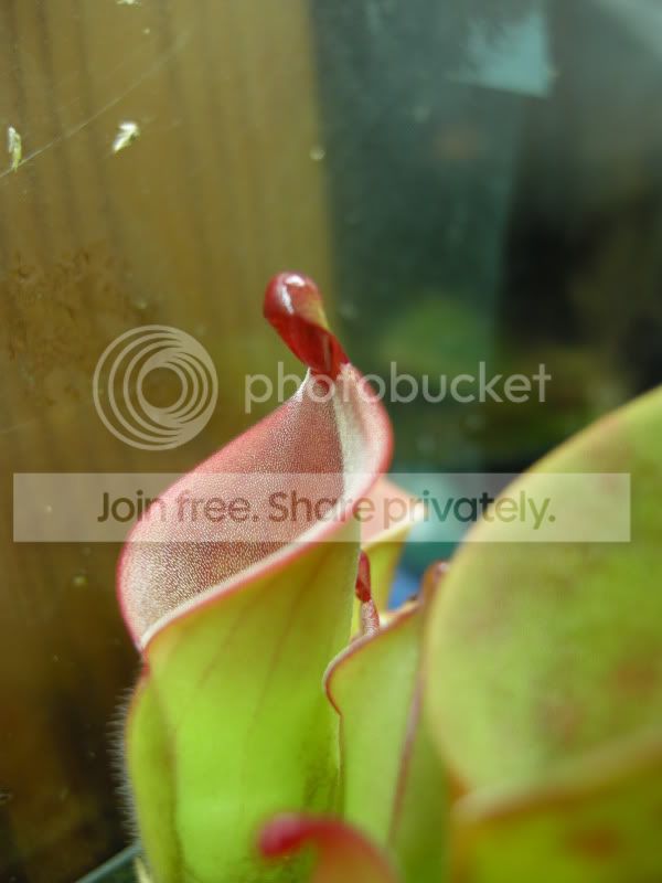 DSCN6820.jpg