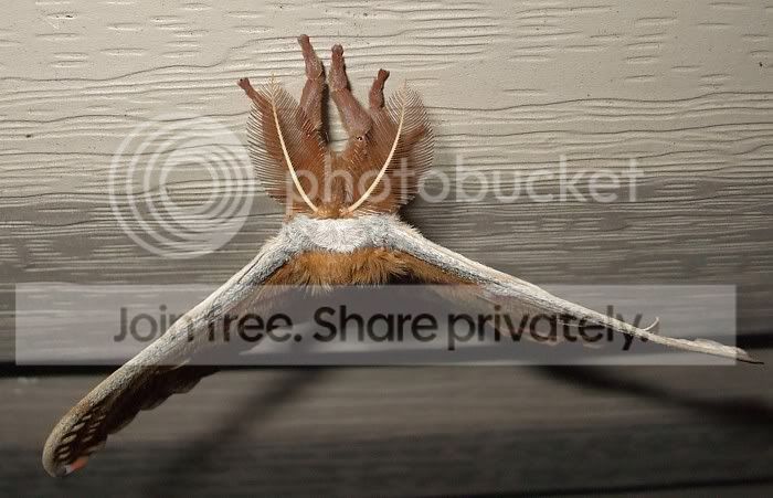 DSCF2765.jpg
