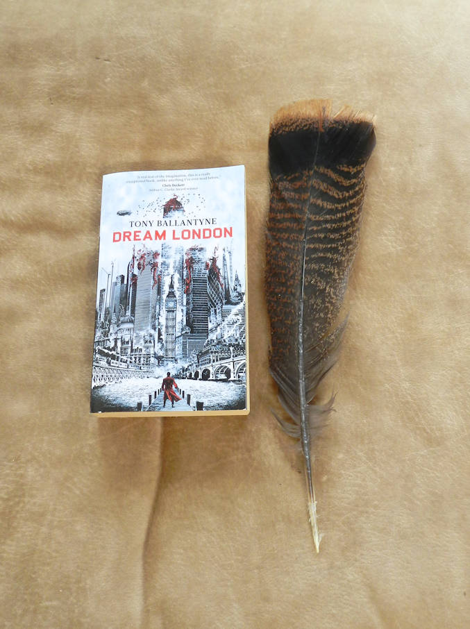 found-feather.jpg