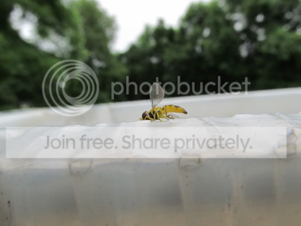 IMG_4592.jpg