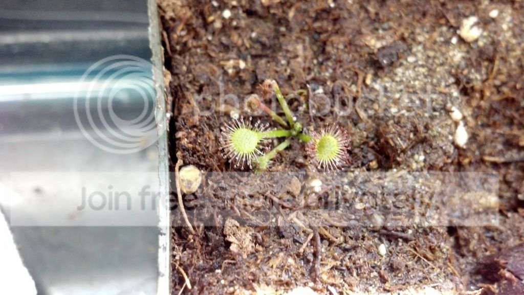 2012-06-01_15-51-01_349.jpg