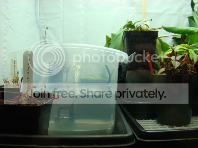 CPs061.jpg