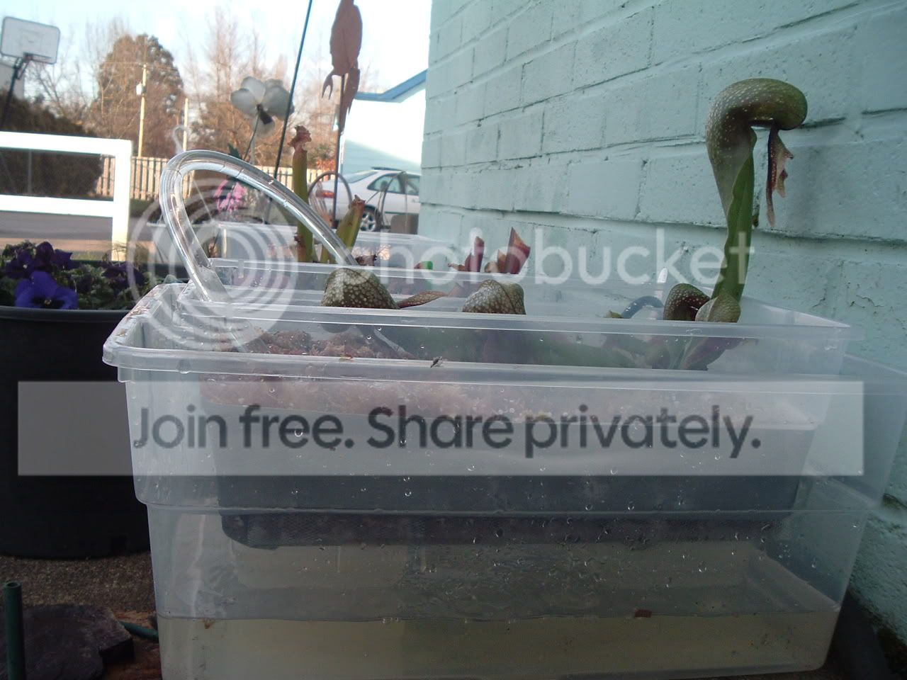 DSCF2080.jpg