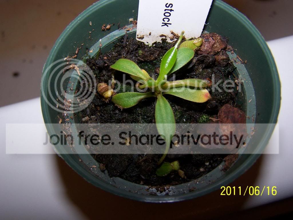 100_4659.jpg