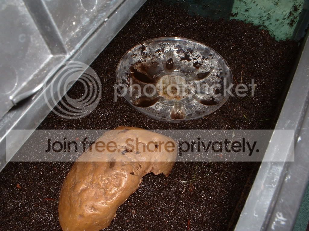 Newgrowshelf020.jpg