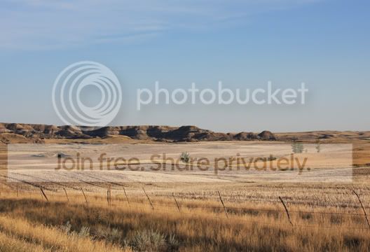 IMG_1754.jpg