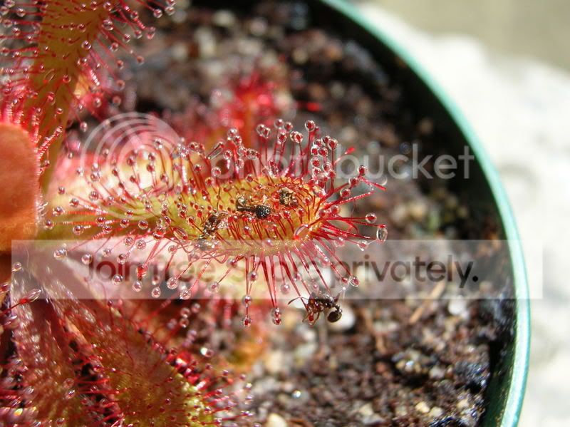 DSCN3568.jpg