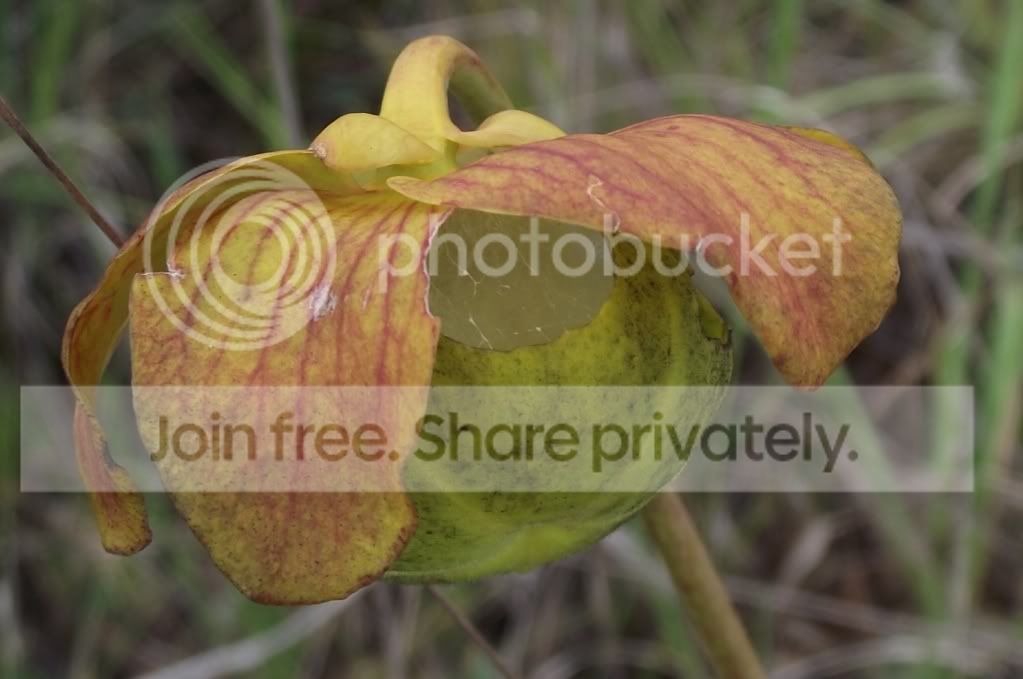 DSCF8191.jpg