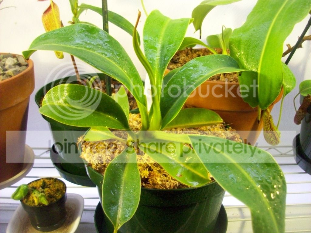 100_3762.jpg