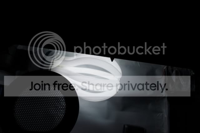 IMGP2544-5.jpg