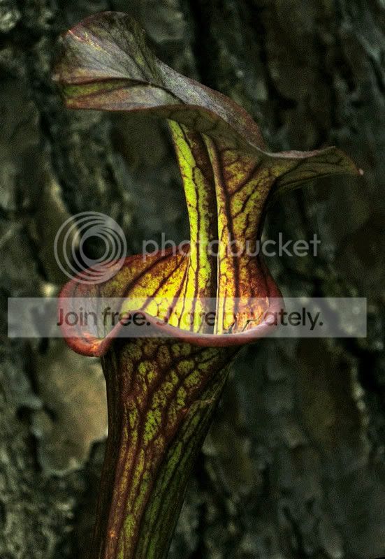 DSCN1891.jpg