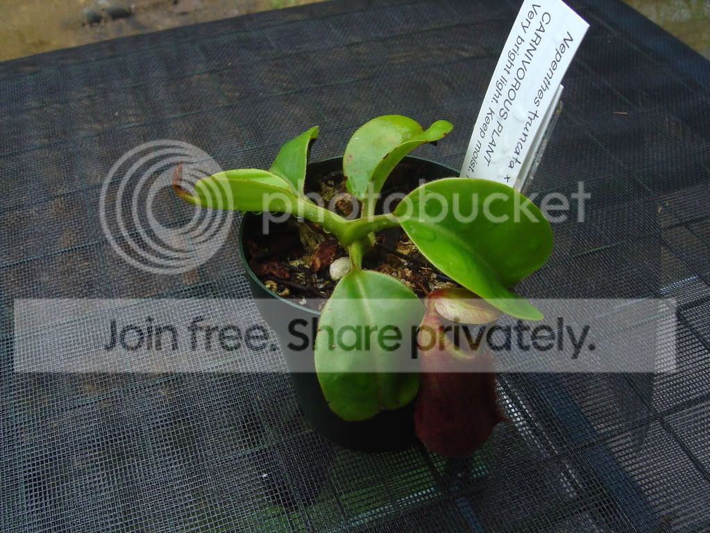 CPs7-23-09003.jpg