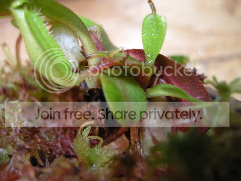 DSCN5750.jpg