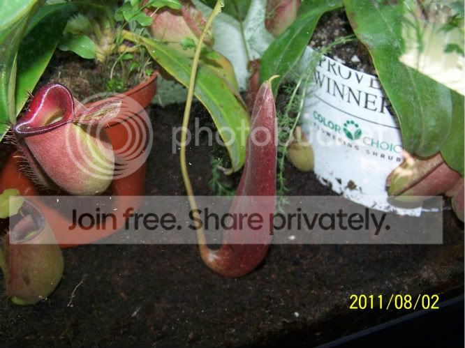 100_4970.jpg