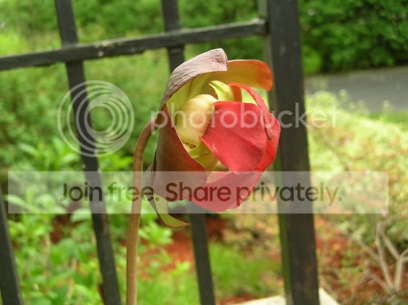 DSCN3791.jpg