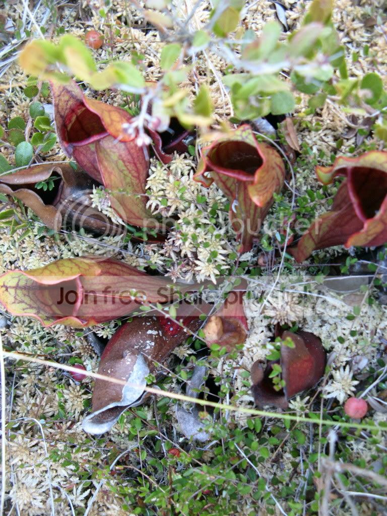 IMG_2830.jpg