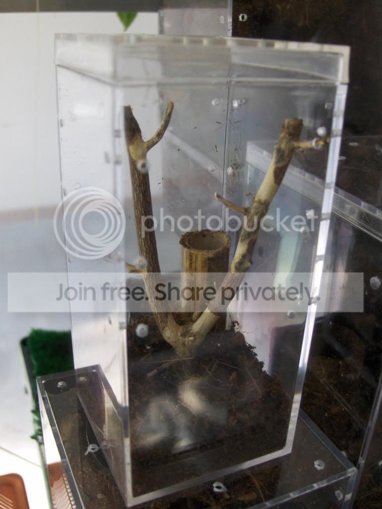 HPIM3773.jpg