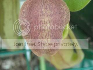 DSCN0309-2.jpg
