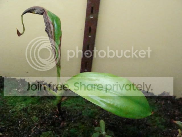 DSC06632.jpg