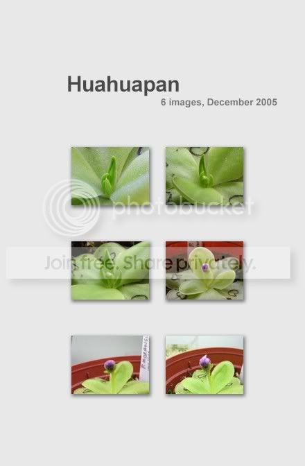 collage24.jpg