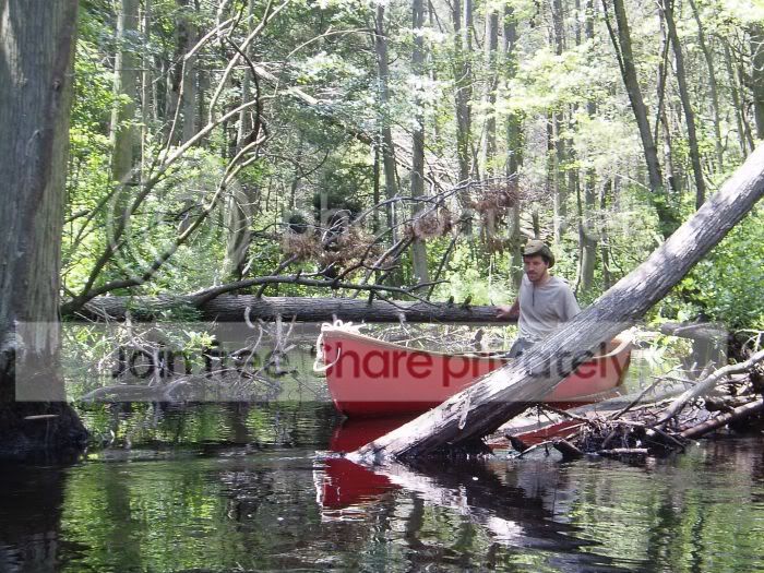 Stevecreek2RS.jpg