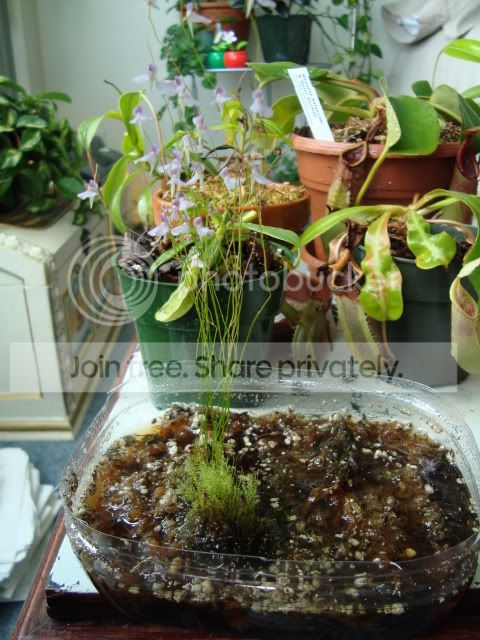 DSC00354.jpg