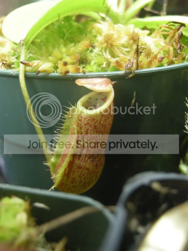 DSCN6829.jpg