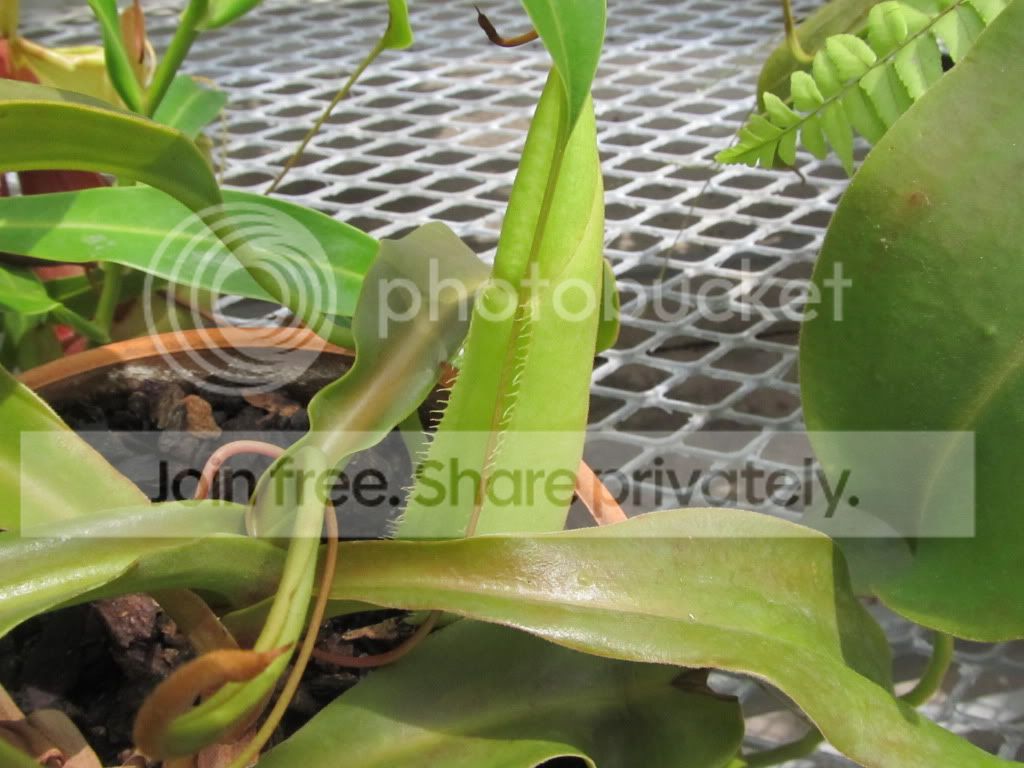 IMG_7252.jpg