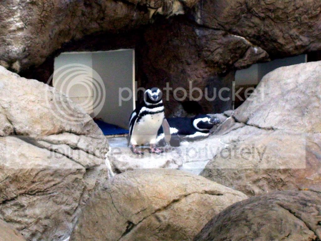 100_5756.jpg