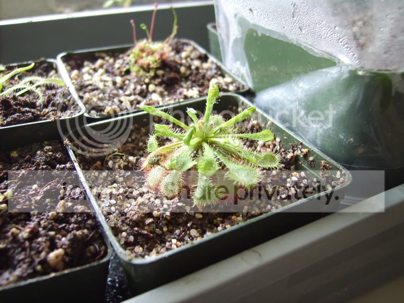 PICT0071.jpg