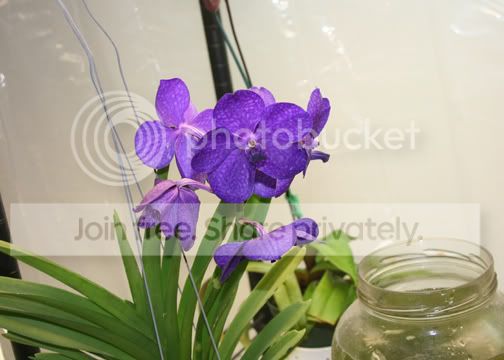 Untitled-1123er.jpg