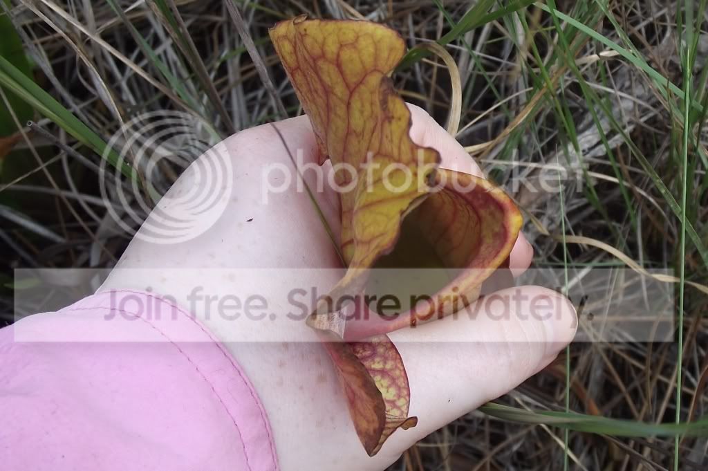 DSCF8504.jpg