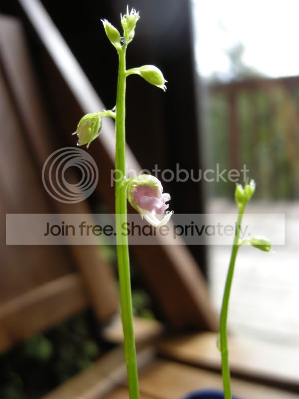 DSCN5880.jpg