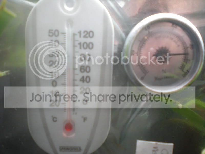 DSCN3082.jpg