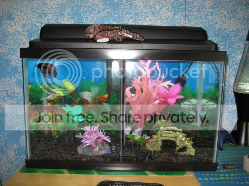 fish149.jpg