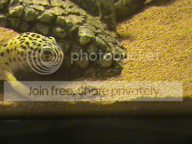 DSC00086_zps837f0e0f.jpg