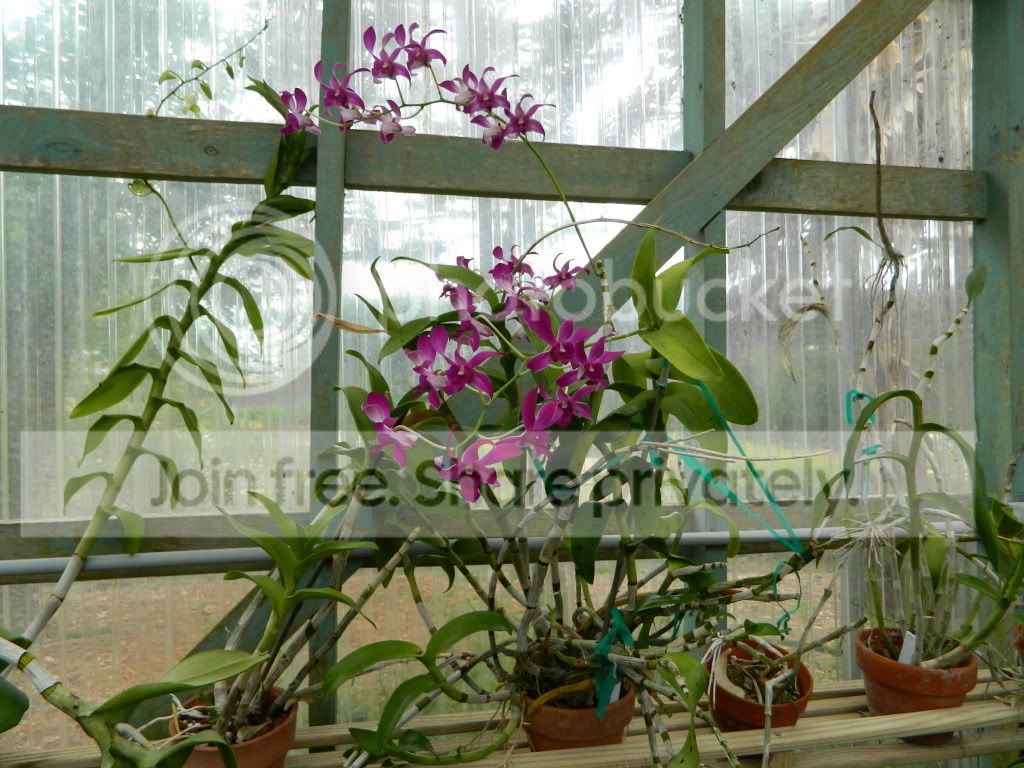 DSCN0116.jpg