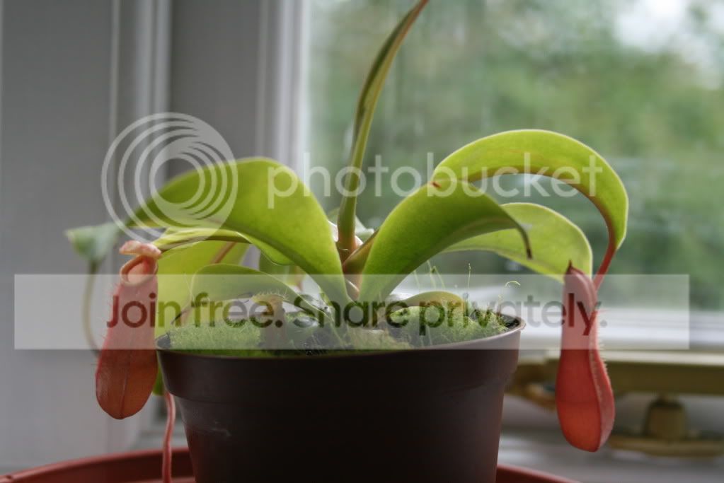 IMG_1878_1.jpg