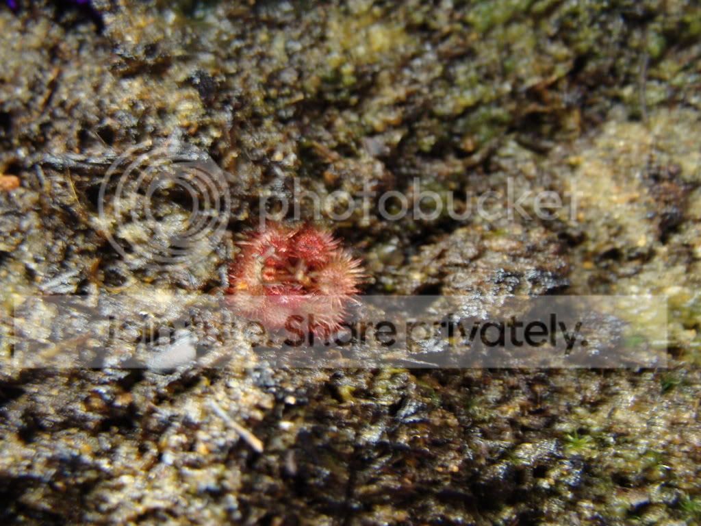 DSC01078.jpg