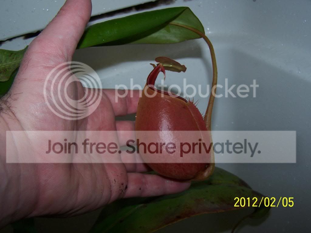 100_5795.jpg