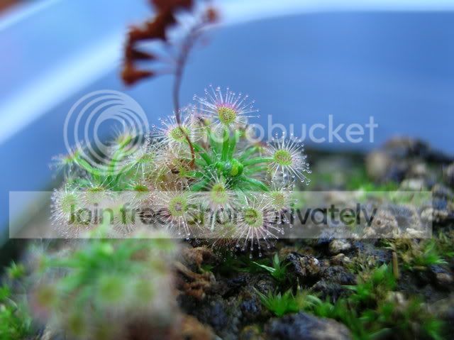 DSCN4691.jpg