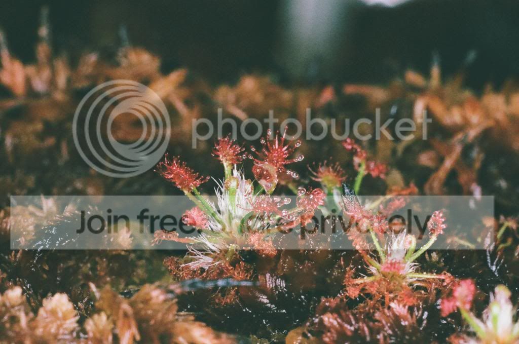 01220012copy.jpg