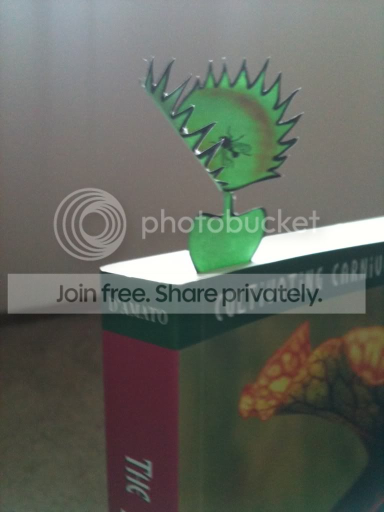 2262ebd7.jpg
