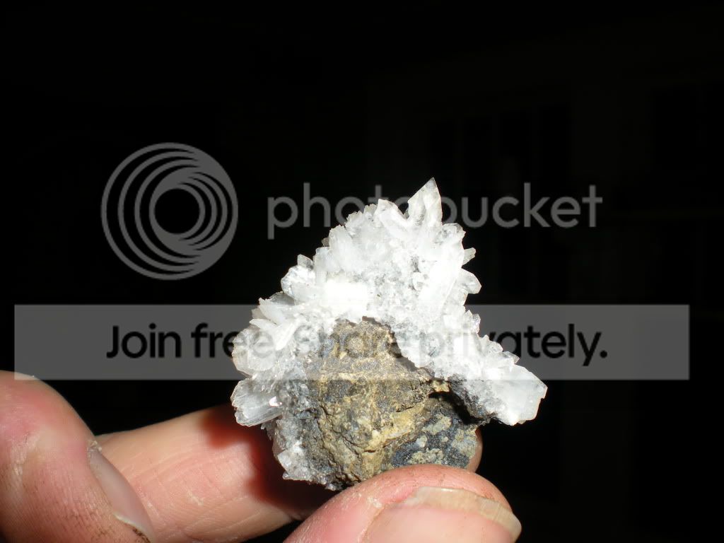 DSCN7115.jpg