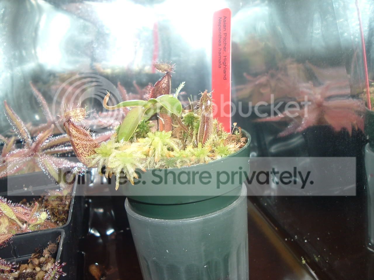 DSCF2181.jpg