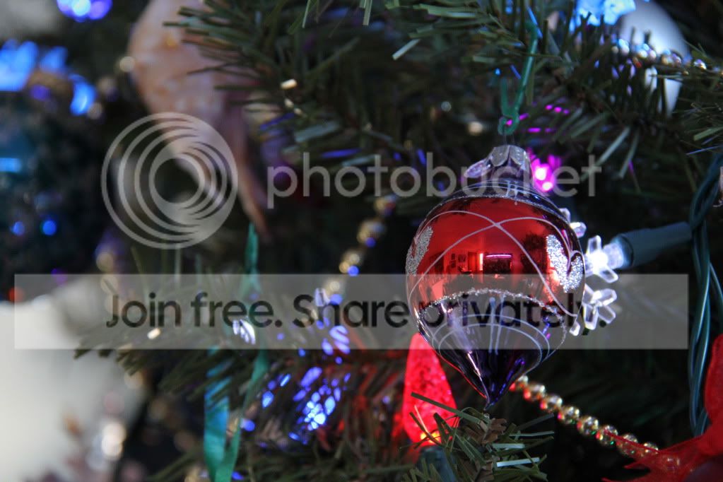 IMG_1141.jpg