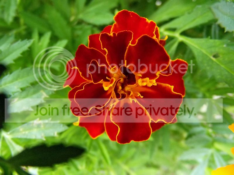 DSCF9034.jpg