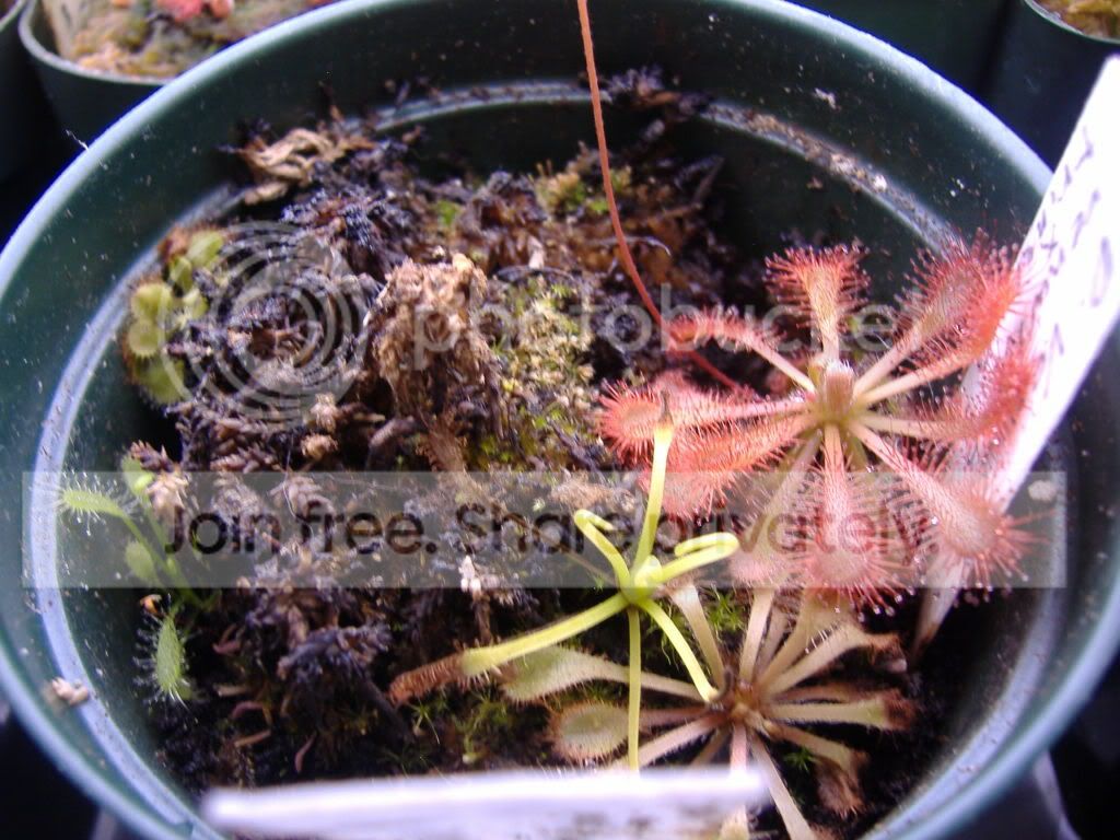 DSCF1747.jpg