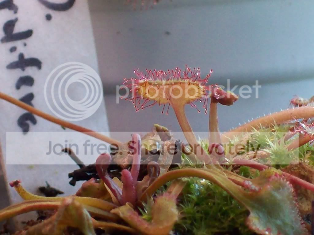 Picture012-3.jpg