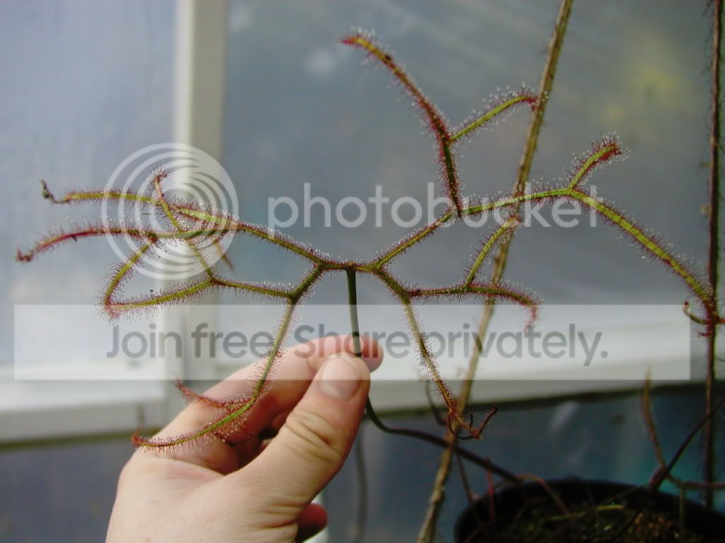 P1010080-2.jpg